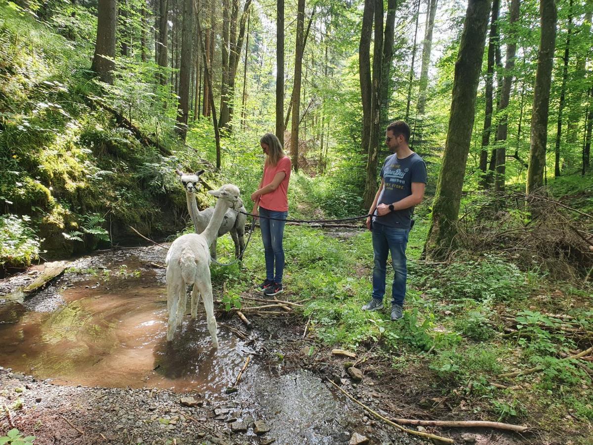 Lana Salta Alpakas - Gemuetliche Ferienwohnungen Auf Dem Bauernhof Murrhardt Buitenkant foto