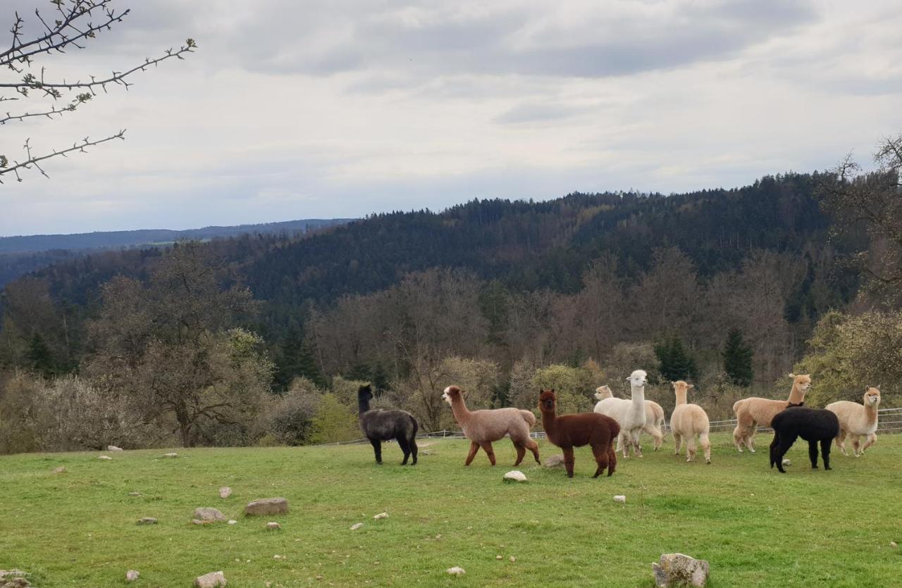 Lana Salta Alpakas - Gemuetliche Ferienwohnungen Auf Dem Bauernhof Murrhardt Buitenkant foto