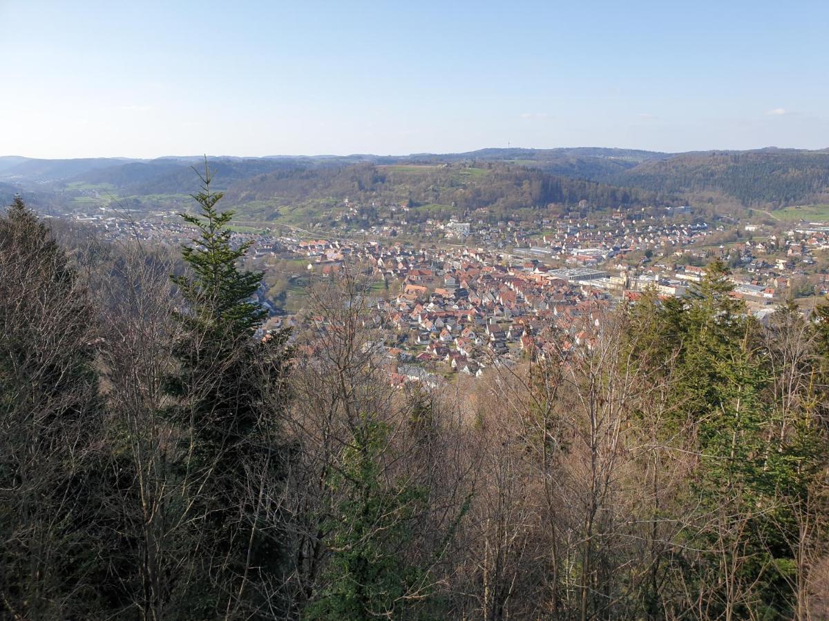 Lana Salta Alpakas - Gemuetliche Ferienwohnungen Auf Dem Bauernhof Murrhardt Buitenkant foto
