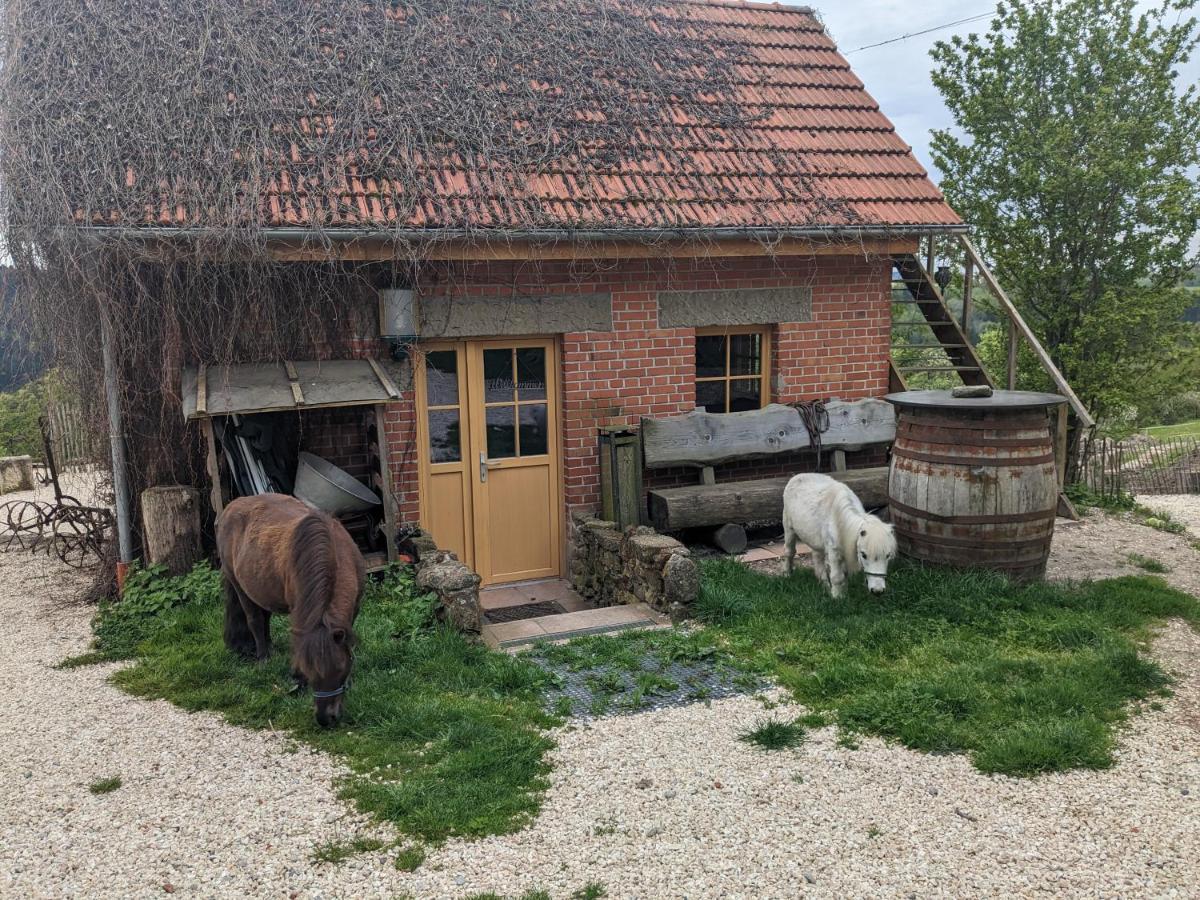 Lana Salta Alpakas - Gemuetliche Ferienwohnungen Auf Dem Bauernhof Murrhardt Buitenkant foto