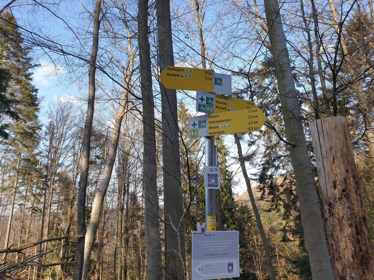 Lana Salta Alpakas - Gemuetliche Ferienwohnungen Auf Dem Bauernhof Murrhardt Buitenkant foto