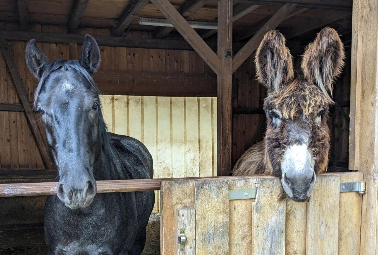 Lana Salta Alpakas - Gemuetliche Ferienwohnungen Auf Dem Bauernhof Murrhardt Buitenkant foto